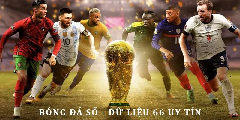 Bóng Đá Số - Dữ Liệu 66 chuyên nghiệp tại Việt Nam